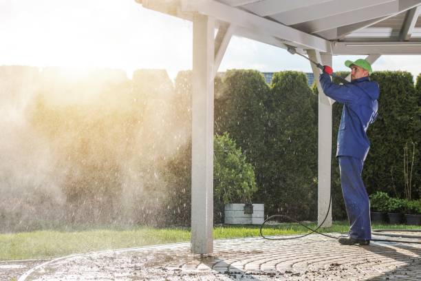 Best Animal Enclosure Cleaning  in Paoli, IN