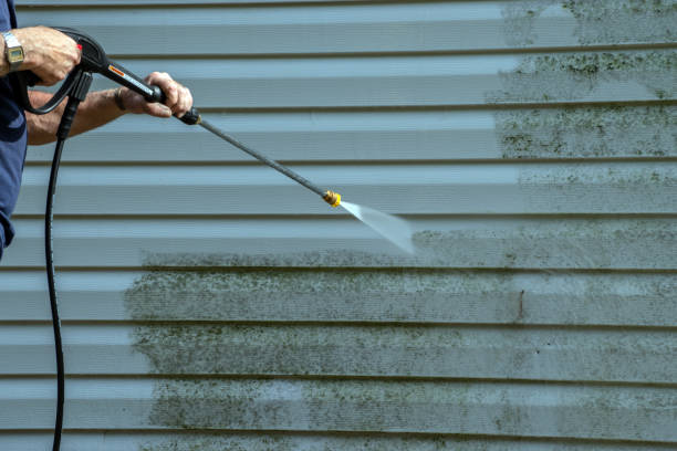 Best Gutter Cleaning  in Paoli, IN